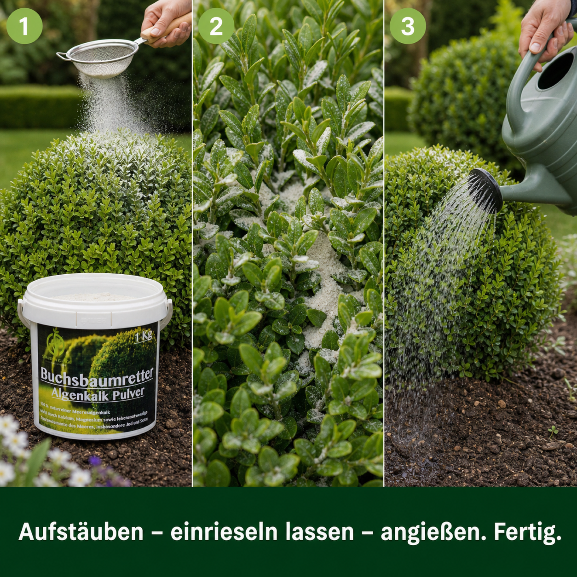 Stauden Gänge Algenkalk Pulver 1 kg – im Eimer – aus 100 % reinen Meeresalgen