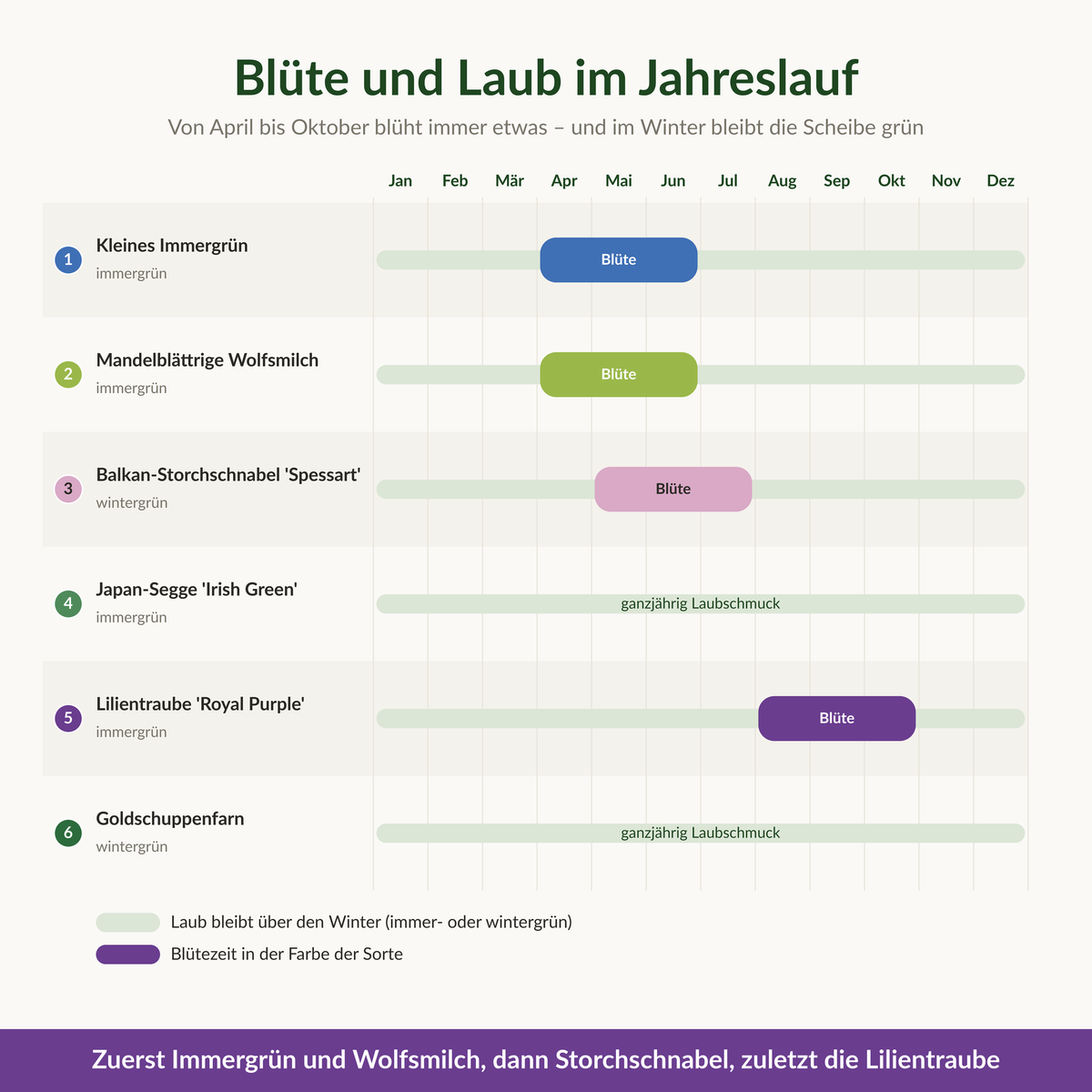 Blühkalender des Baumscheiben-Sets: Blüte von April bis Oktober, Laub bleibt im Winter