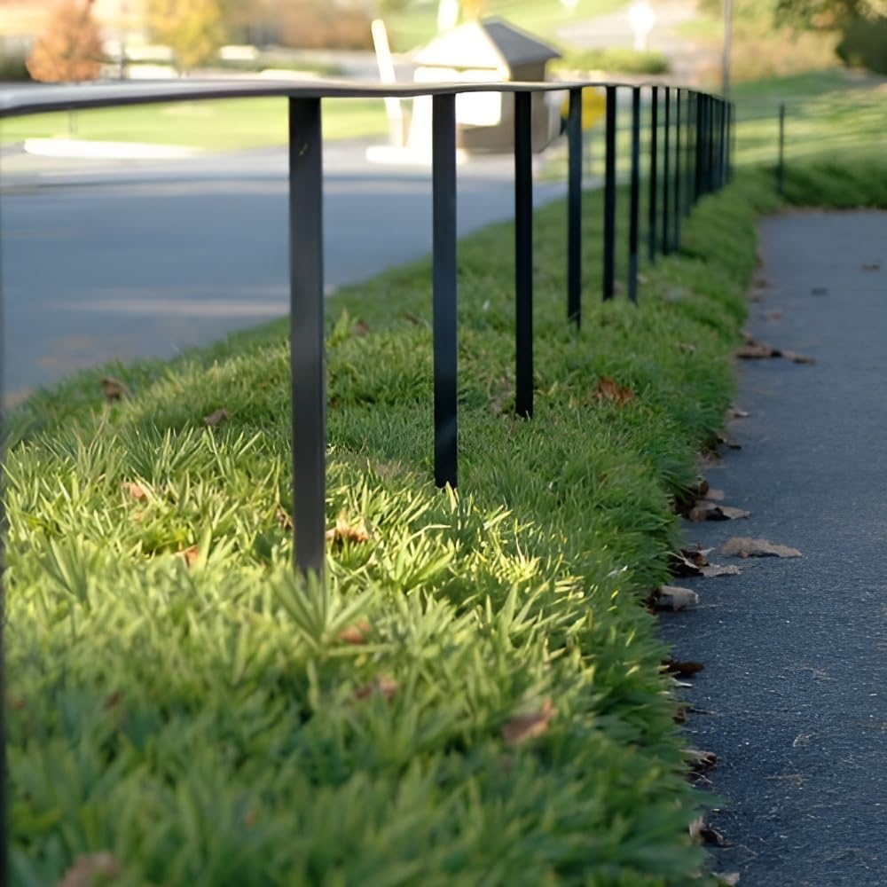 Pleioblastus pygmaeus / Zwerg-Bambus