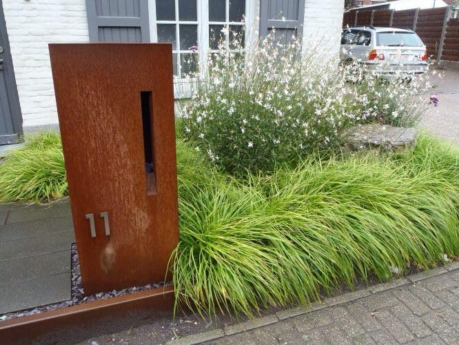 Carex oshimensis ‚JS Greenwell' / Japan Segge