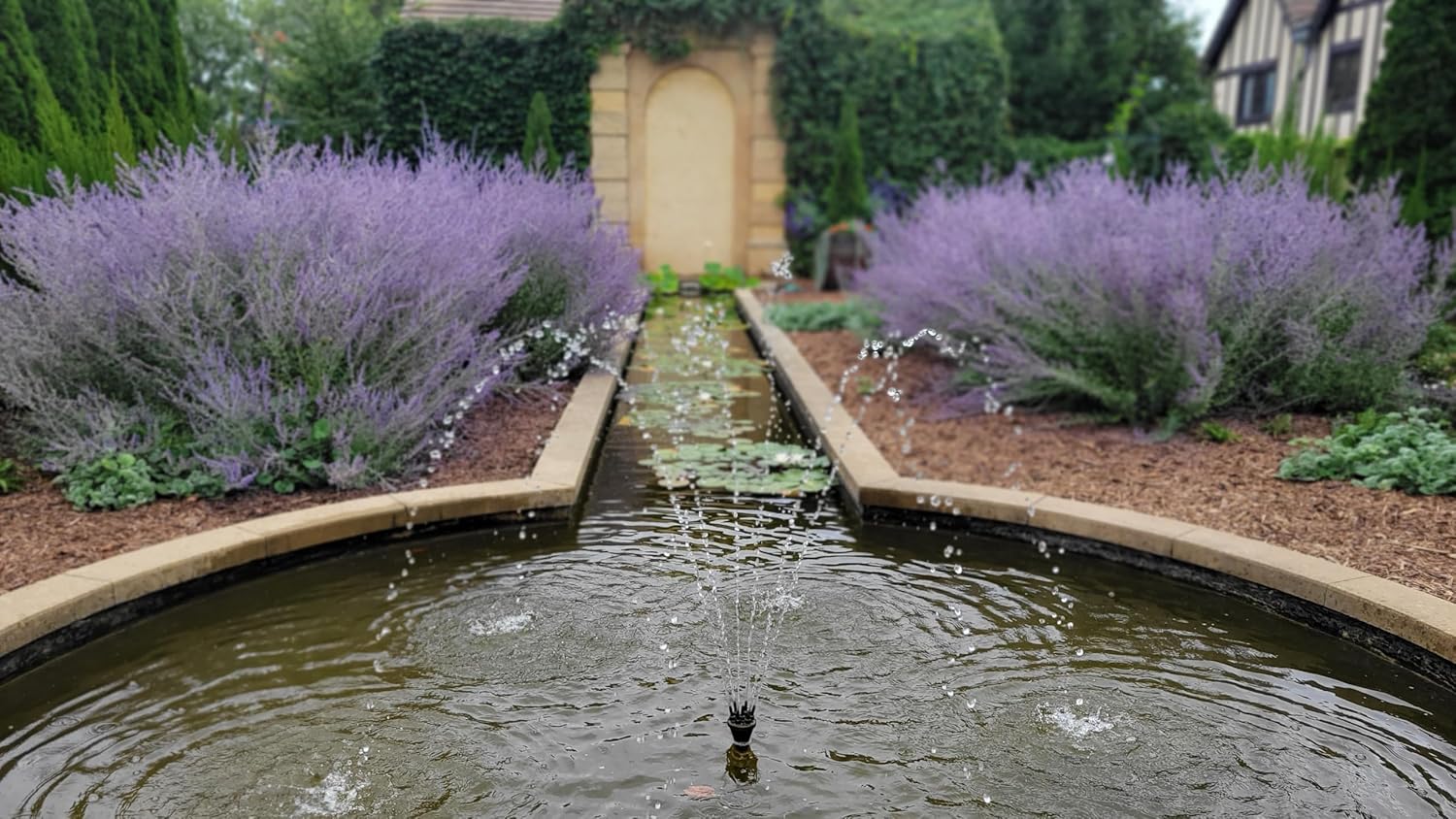 Perovskia atriplicifolia 'Blue Spire' / Blauraute