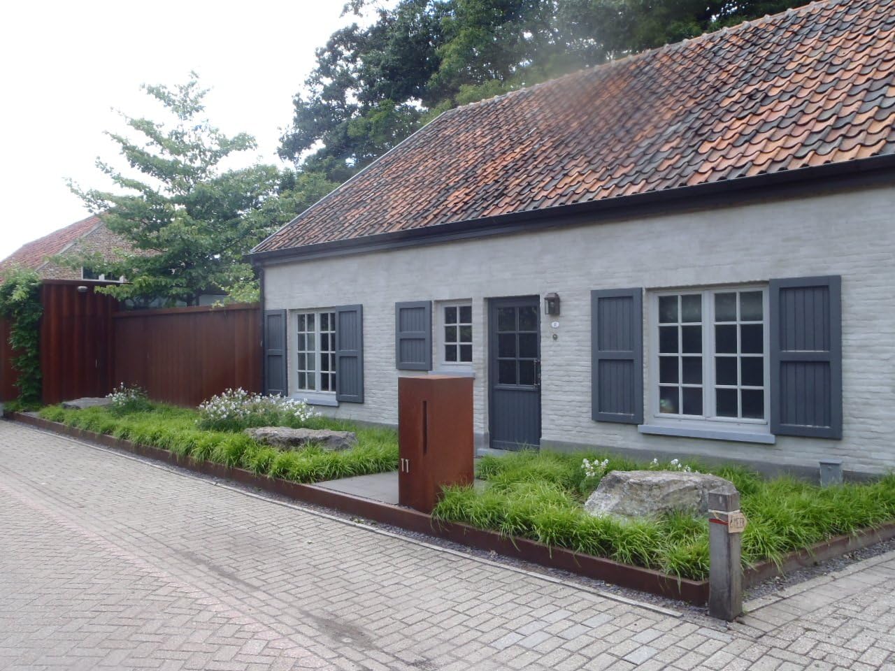 Carex oshimensis ‚JS Greenwell' / Japan Segge