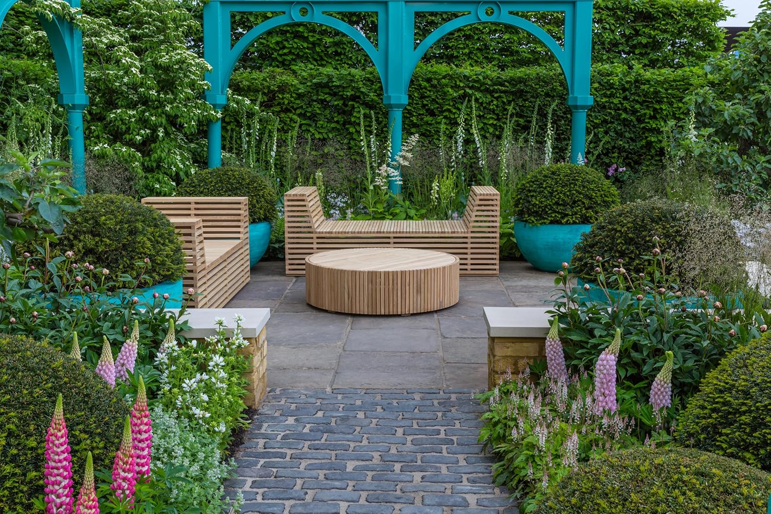 Ilex crenata 'Convexa' Kugel 25-35 cm / Löffel Ilex