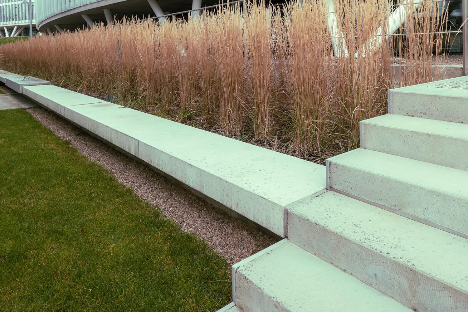 Calamagrostis acutiflora ‚Waldenbusch‘ / Reitgras