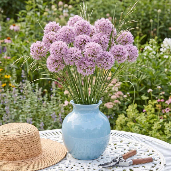 Geschnittene Blütenkugeln von 'Summer Beauty'