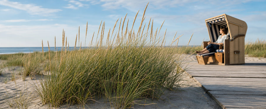 Person sitzt im Strandkorb neben wogendem Strandhafer, die Halme reichen ihr etwa bis zur Hüfte