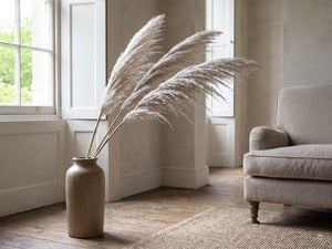 A+ Cortaderia Sunningdale Silver m4