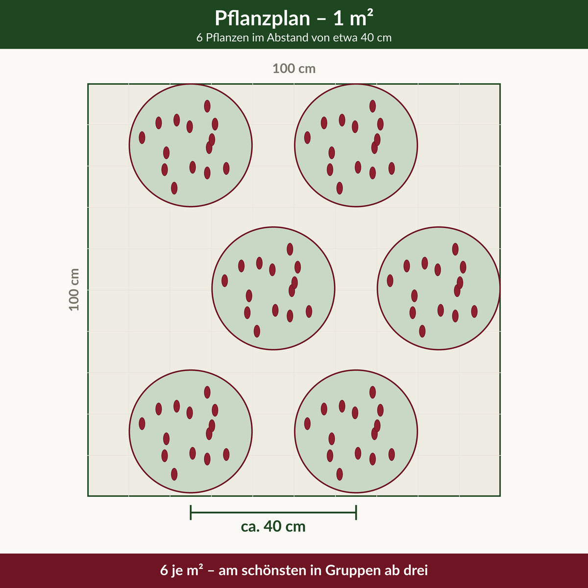 Pflanzplan für einen Quadratmeter: 6 Pflanzen im Abstand von etwa 40 cm