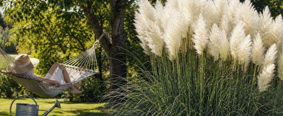 Weißes Pampasgras 'White' neben einer Hängematte im Sommergarten, daneben eine Gießkanne.