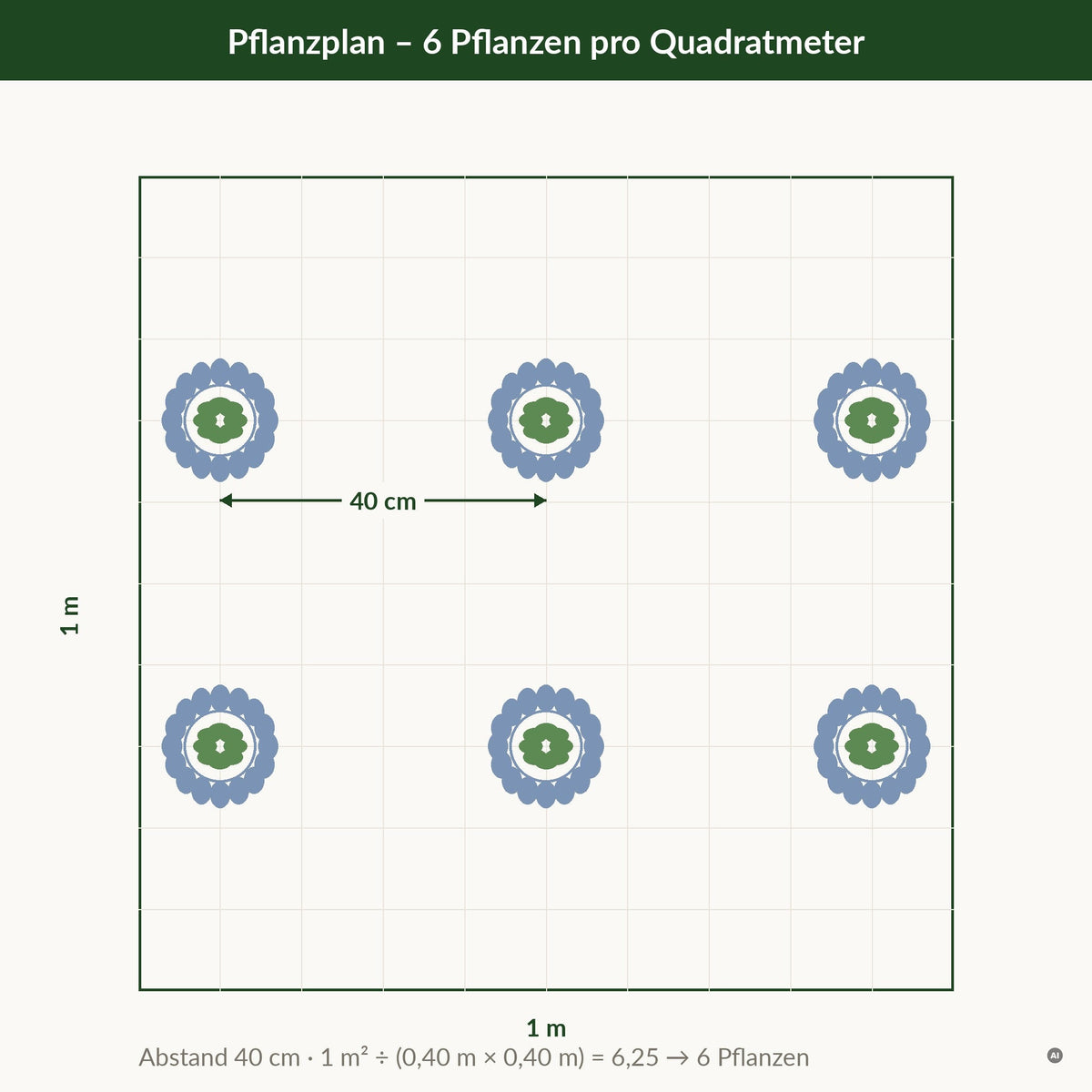 Pflanzplan Eryngium planum: ein Quadratmeter mit sechs Pflanzen im Abstand von 40 cm, Raster mit sechs Pflanzensymbolen
