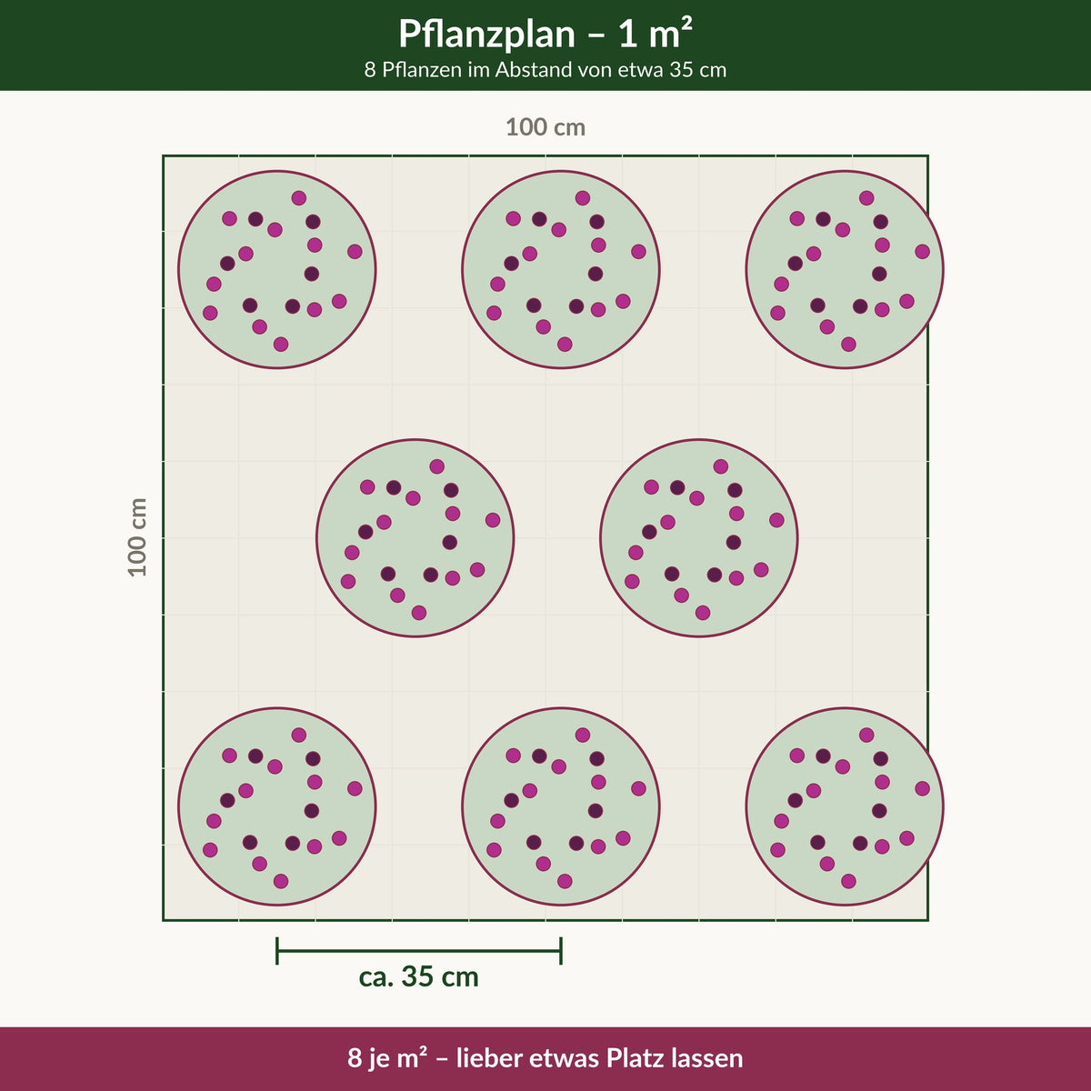 Pflanzplan: 8 Pflanzen je Quadratmeter, Abstand etwa 35 cm