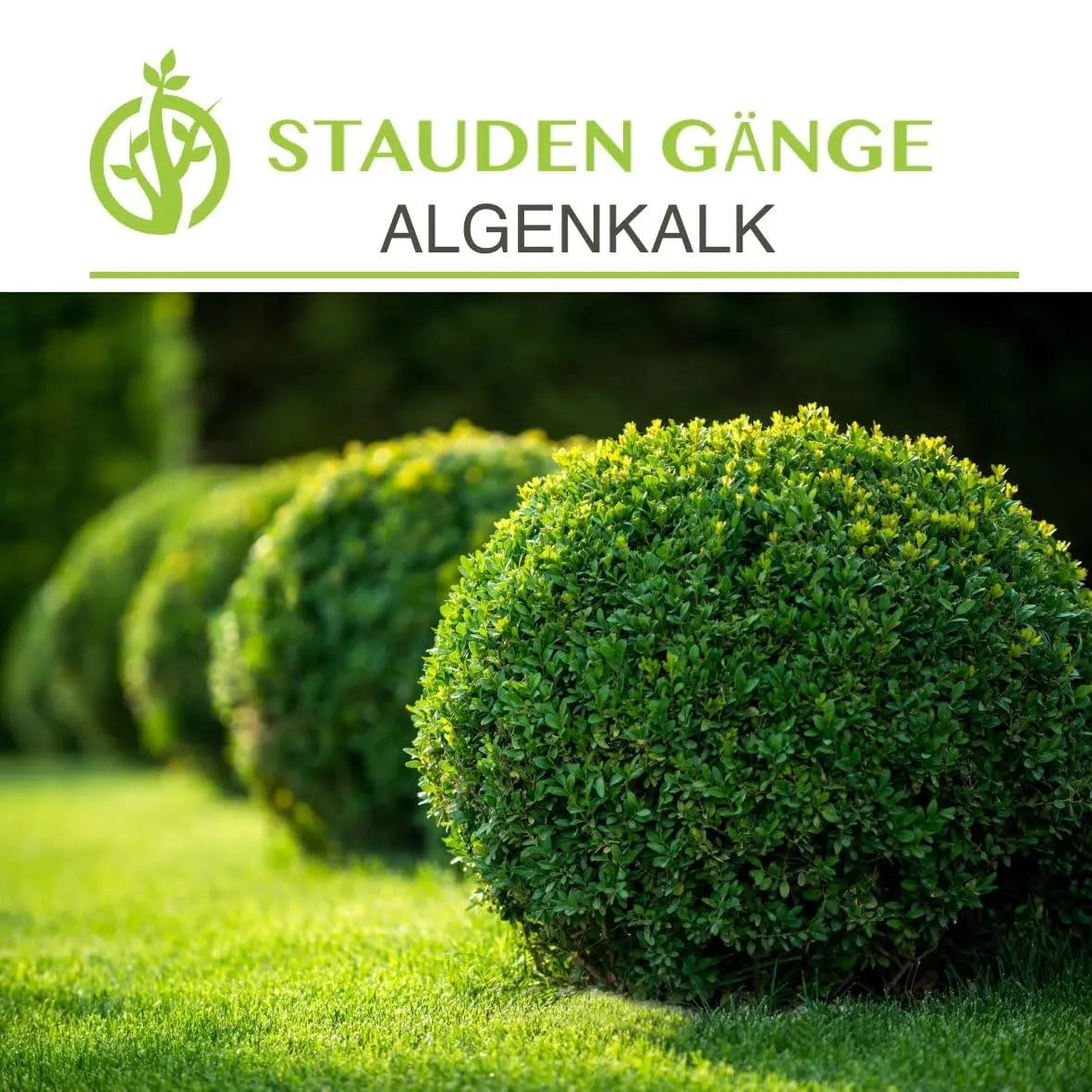 Stauden Gänge Algenkalk Pulver 1kg in umweltfreundlichem, wiederverschließbarem Papierbeutel, natürliche Düngemittel für Pflanzen