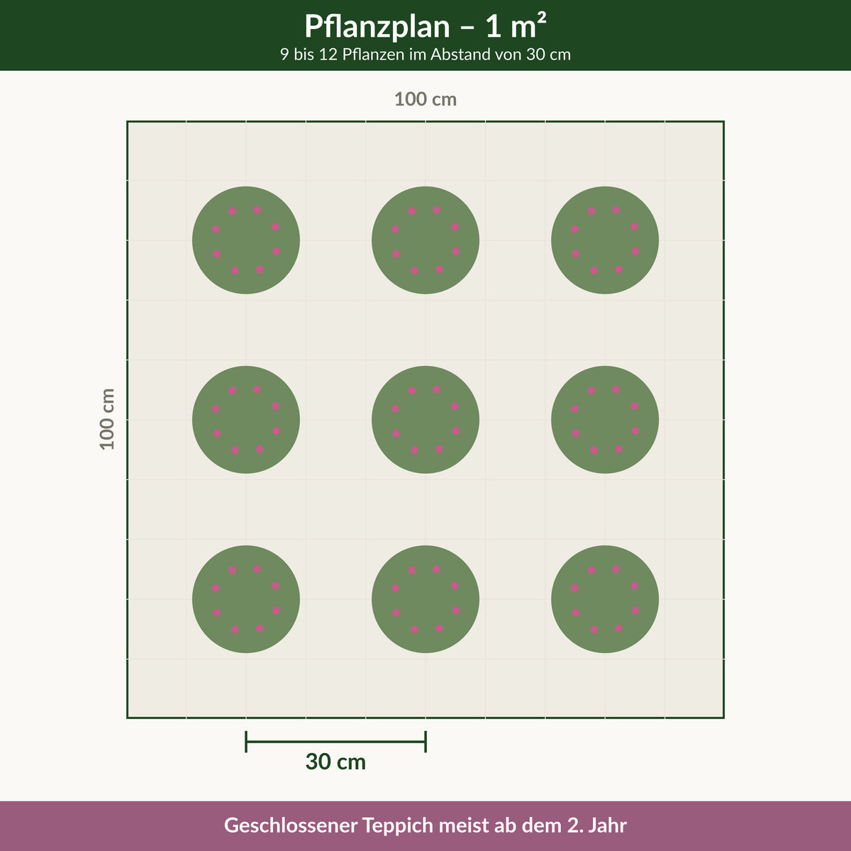 Pflanzplan für einen Quadratmeter: 9 bis 12 Pflanzen im Abstand von 30 cm
