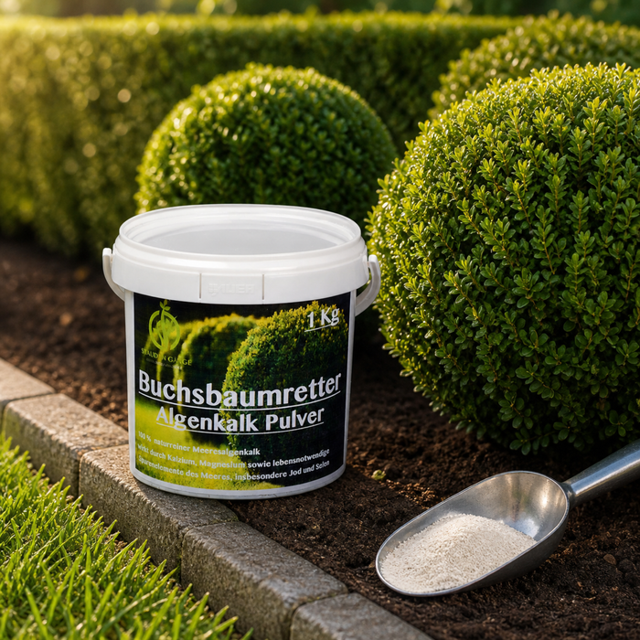 Stauden Gänge Algenkalk Pulver 1 kg – im Eimer – aus 100 % reinen Meeresalgen