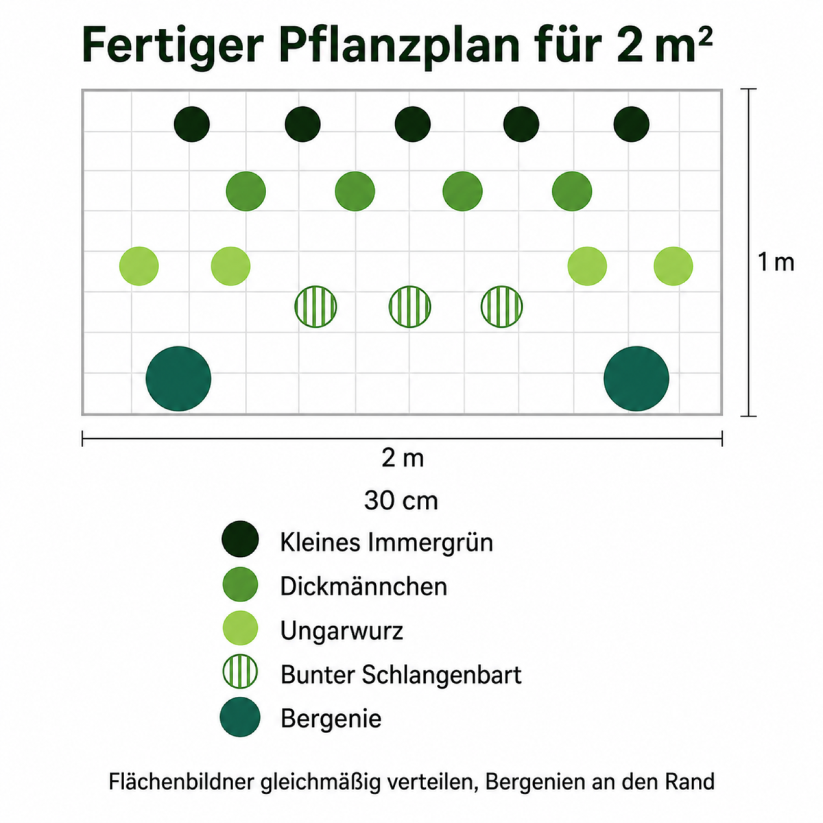 Bodendecker-Set Immergrün – 18 Stauden für Schattenflächen