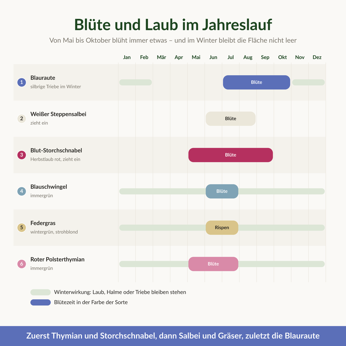 Blühkalender des Vorgarten-Sets: Blüte von Mai bis Oktober, Winterwirkung durch Gräser, Thymian und Blauraute-Triebe