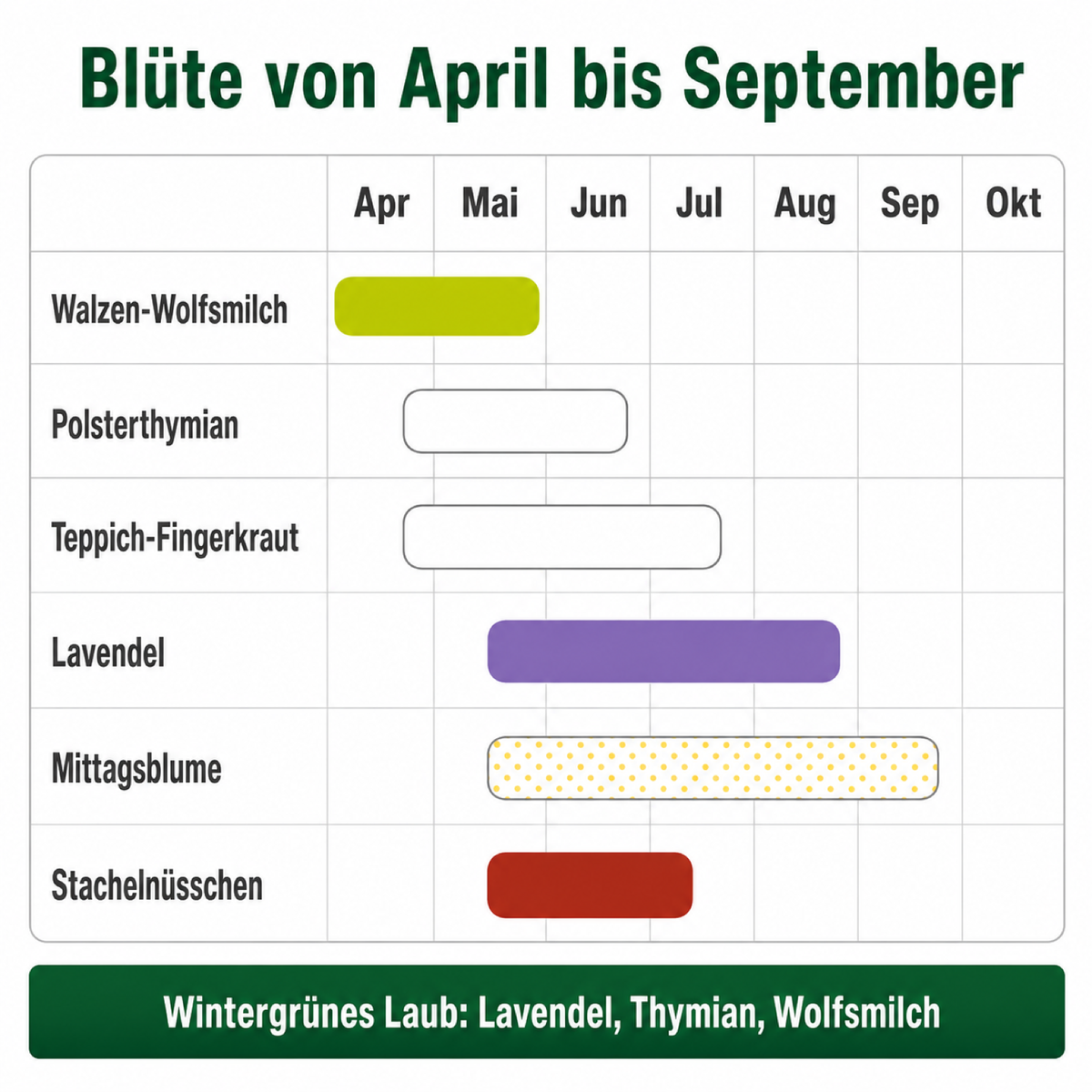 Kiesbeet-Set – 19 trockenheitsverträgliche Stauden