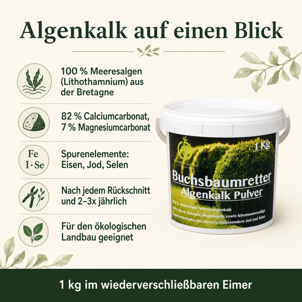 Stauden Gänge Algenkalk Pulver 1 kg – im Eimer – aus 100 % reinen Meeresalgen