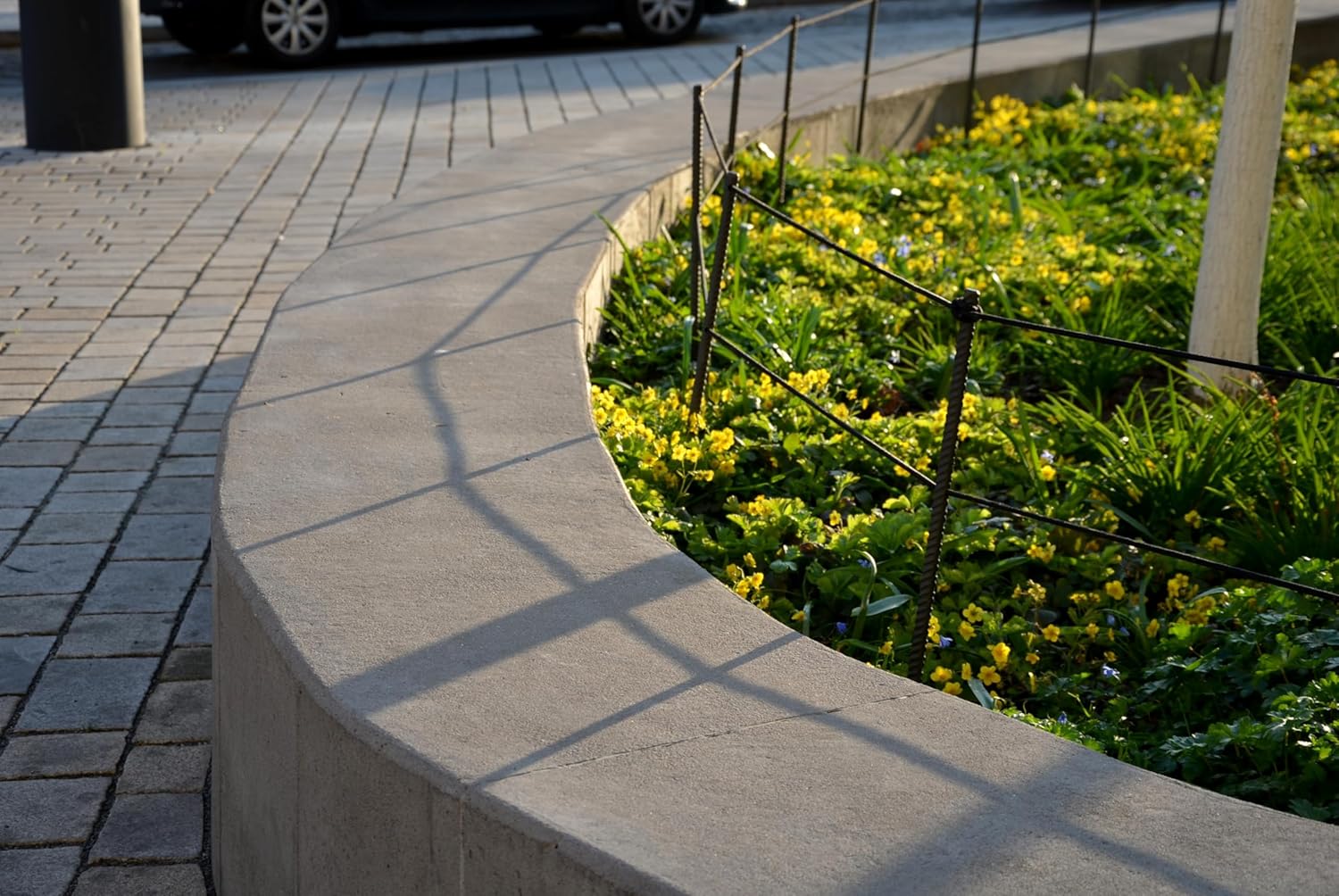 Waldsteinia ternata / Golderdbeere