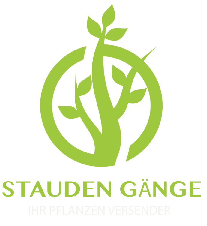 Stauden Gaenge