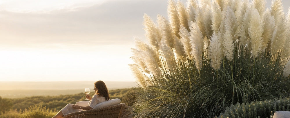 Frau mit Weinglas auf einem Korbsessel bei Sonnenuntergang, daneben weißes Pampasgras Cortaderia selloana 'White' von Stauden Gänge mit Blick ins Tal.