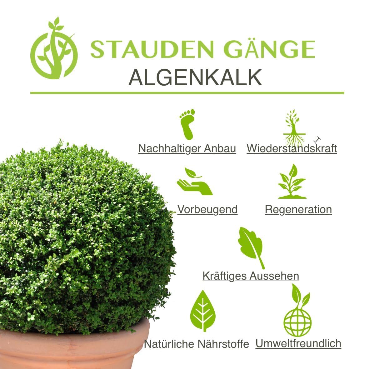 Stauden Gänge  Algenkalk Pulver 1kg im umweltfreundlichen Papierbeutel wiederverschließbar