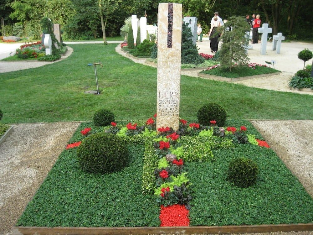 Cotoneaster dammeri 'Radicans' / Teppichmispel - Stauden Gaenge