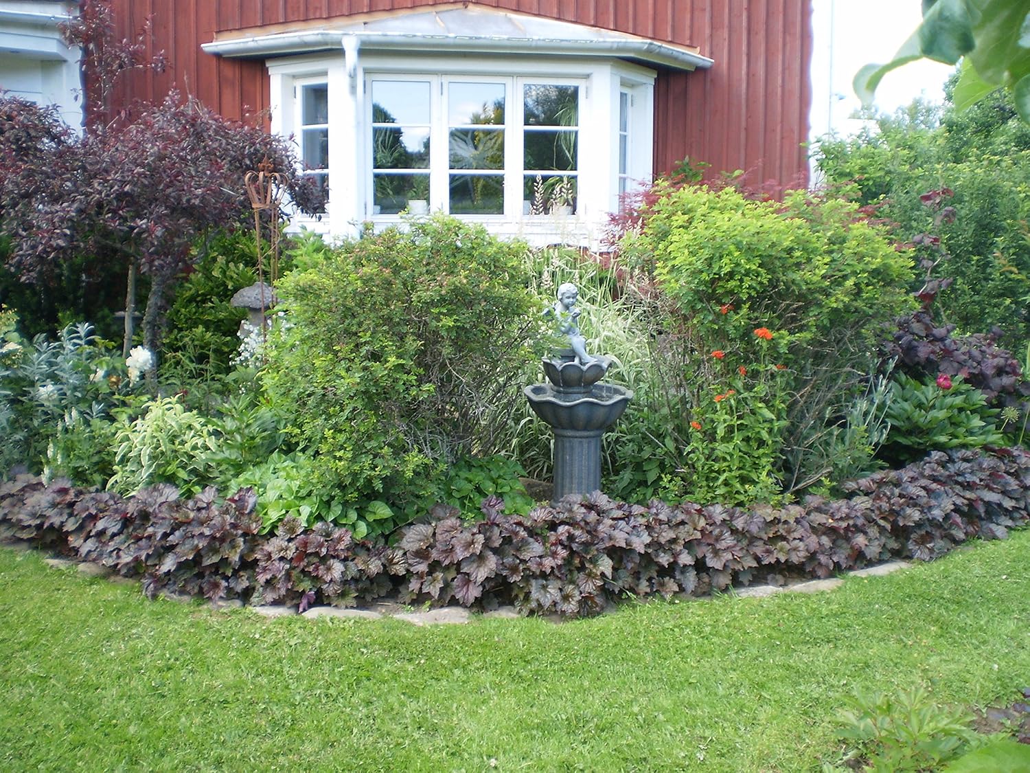 Heuchera americana 'Palace Purple' / Rotblättriges Purpurglöckchen - Stauden Gaenge